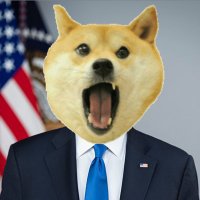 Doge President(@DOTUS69) 's Twitter Profile Photo