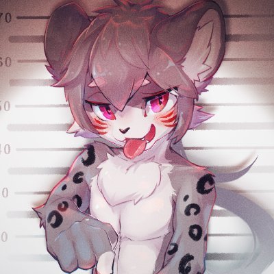 KOTAsnowleopard Profile Picture