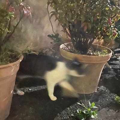 おはぎさんのプロフィール画像
