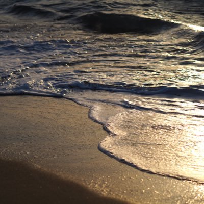 akamatuikumi's profile picture. 写真にどハマり中の初心者🔰良い画が撮れるように練習中です