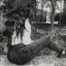 Elena (@elenacd74257118) Twitter profile photo Elena (@elenacd74257118) Twitter profile photo