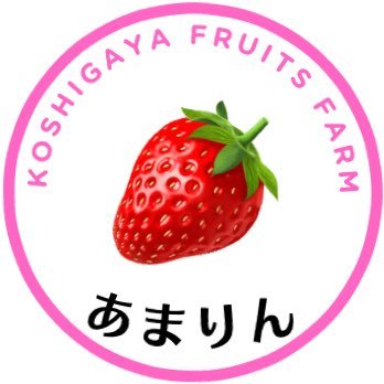 2025年の冬に開園をめざす|新規就農|イチゴのあまりん専門の直売