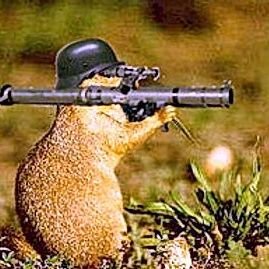 SoOverItEh's profile picture. 