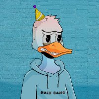 quacksalot.sei(@sir_quacksalot_) 's Twitter Profile Photo