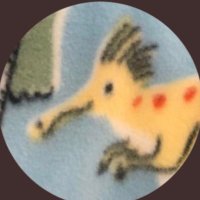 The Ominous Fuzz ๑•̀ㅂ•́)و✧ (@eghfeithrean) 's Twitter Profile Photo