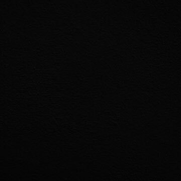 abby92955170's profile picture. 