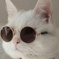 vay 🇵🇸 🇵🇸 🇵🇸 (@nur1930153) 's Twitter Profile Photo