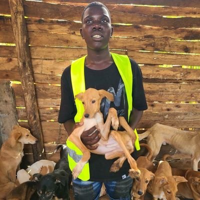 My Aim is to rescue and find home for homeless poor street animals 🐶 🐕 together we can make a big change in their lives,please help🙏
https://t.co/miqb8H0X9O