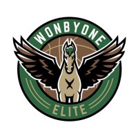WONBYONE ELITE (@wonbyoneteam) 's Twitter Profile