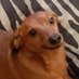 Restless (@restless_) Twitter profile photo Restless (@restless_) Twitter profile photo