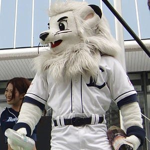 A guy that wants to see mascots. Just looking up mascot stuff.