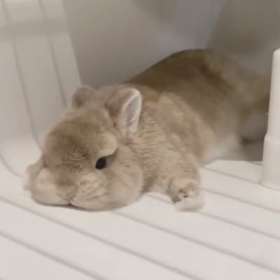 Ashlyn135239's profile picture. 