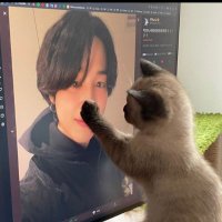 🐨🍒🐧 (@rekhtaaa) 's Twitter Profile