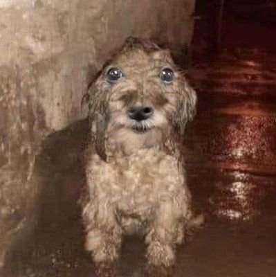 synamewaks's profile picture. 