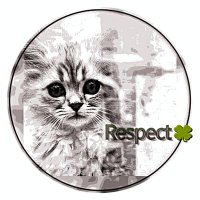 リスペクト🍀感謝RP (@trw2rep972d358t) 's Twitter Profile