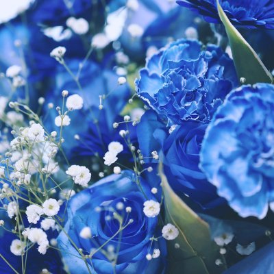 tsuyuri🐇 (@bluedayflower) / Posts / X