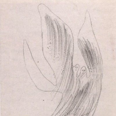 divuitmesos's profile picture. Conductor novell en un 4x4