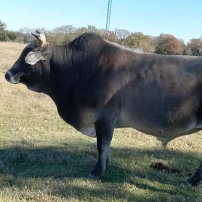 bobby8767's profile picture. 24