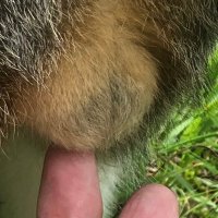 tks (@tkstkstkstkstk2) 's Twitter Profile