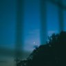 PaSDlu8xSwV72Y5's profile picture. 大知識人
PENTAX K-30/k-5/MX          
                                  あやなみすき 
エヴァ 5年目
 朝4時