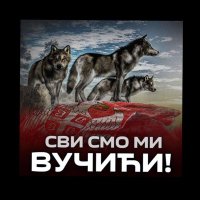 Miroslav Čučković (@cuckovicm) 's Twitter Profile
