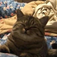 Tino (@j_u_s_t_m_e_28) 's Twitter Profile