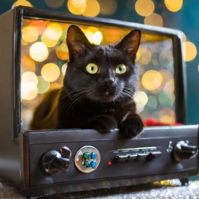 There poltergeist the Black Cat,TheVirtualRealityCat now living inside a TV and playing Video Games.

A #allbinary Cat form the Matrix! No Pill uses?