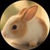 avery 🍉 (@captainavery64) Twitter profile photo avery 🍉 (@captainavery64) Twitter profile photo