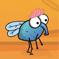 flywifhat (@flywifhat) 's Twitter Profile
