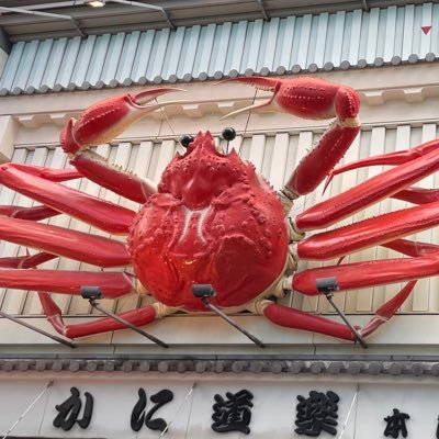 pichiさんのプロフィール画像