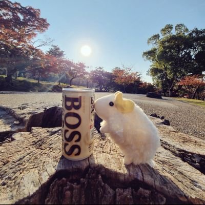 関西/成人済み/ほぼ取引/舞台俳優/ゲーム配信者/📮必読ではありませんが郵送お取引の際はご確認ください⇒https://t.co/lmtwTSfrBU