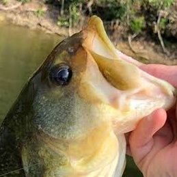 nakamur0678566's profile picture. 