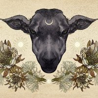 The Black Sheep(@wtblacksheep) 's Twitter Profile Photo