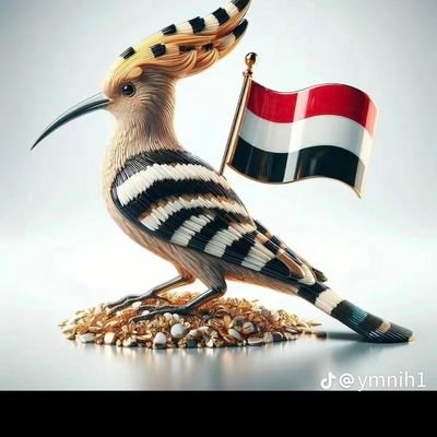 aylm28's profile picture. teacher for software smartphone