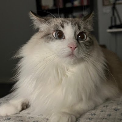 HarimleeDesign's profile picture. 