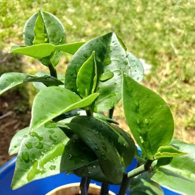 BigMan4489's profile picture. 