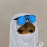 LZN (@lzncrypto) 's Twitter Profile