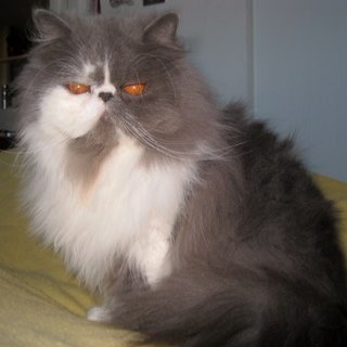 mimileo57's profile picture. 