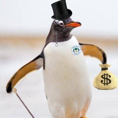 PenguinPseudo Profile Picture
