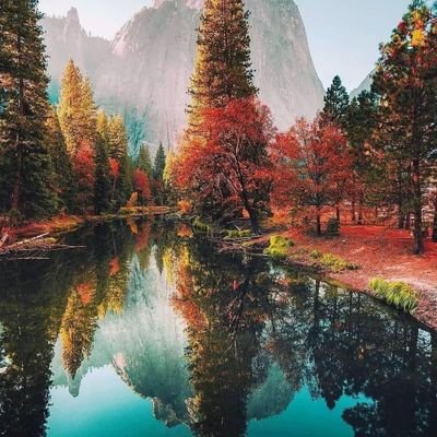 Raja111110's profile picture. A bussinessman