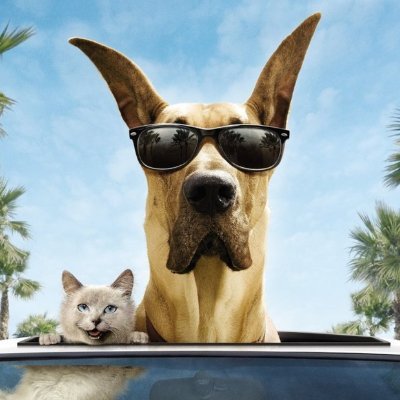 Andrii31845319's profile picture. 