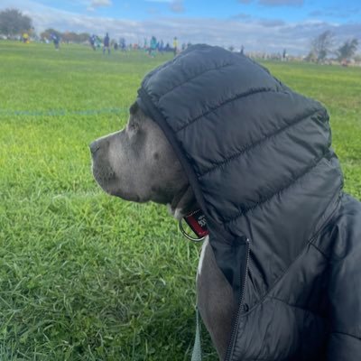 byronbogaard's profile picture. a serial entrepreneur, farmer and father