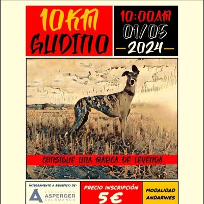 Carrera 10km Gudino. 1 de mayo 2024. A beneficio de la Asociación de Asperger Salamanca. Logra tu mejor marca de 10 km en el circuito más llano de la provincia