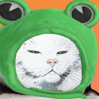 🐸CoinCat🐸(@Frisbee_the_Cat) 's Twitter Profile Photo