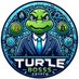 TURTLE Boss (@TurtleBossCoin) Twitter profile photo