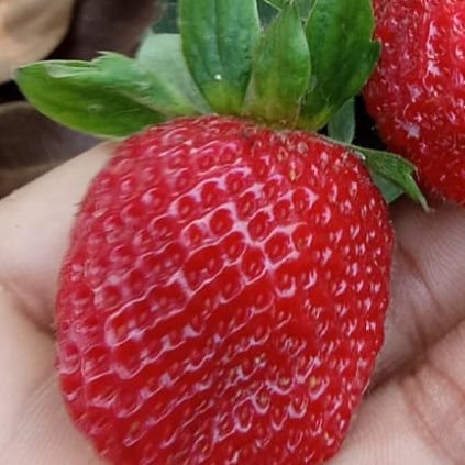 suman_962's profile picture. You should not change your path for another...... they'll find you when they need.