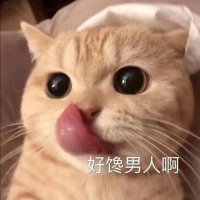 废猫猫子 (@yiob6egeq0szoo0) 's Twitter Profile