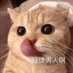废猫猫子 (@yIOb6egeQ0szoo0) Twitter profile photo