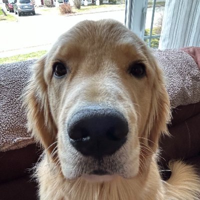 Virtuall3D's profile picture. 