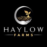 Haylow Cannabis Company(@haylowcannabis) 's Twitter Profile Photo